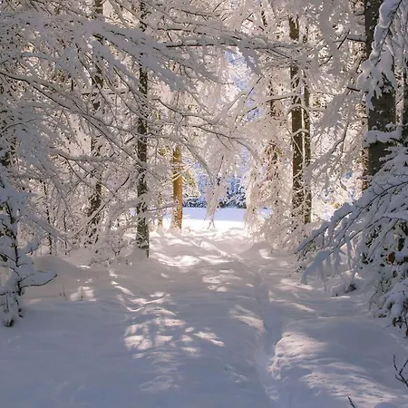 Lovely In